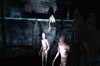 Silent Hill: Shattered Memories скриншот (Wii)